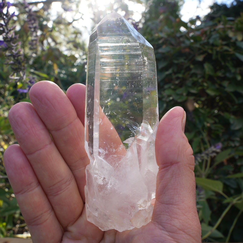 
                  
                    High Grade Star Seed Lemurian Wands | Reiki Infused
                  
                