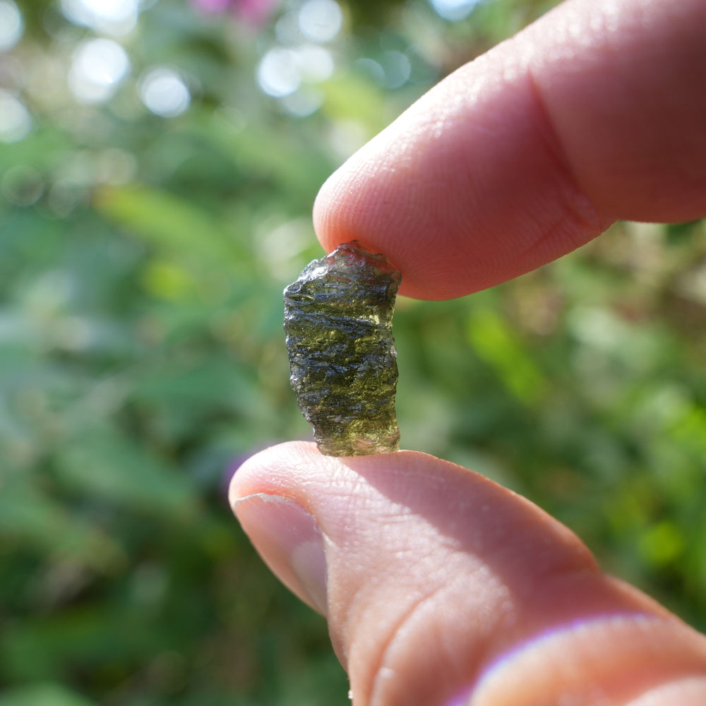 
                  
                    Raw Authentic Moldavite | AAA Grade | Reiki Infused
                  
                