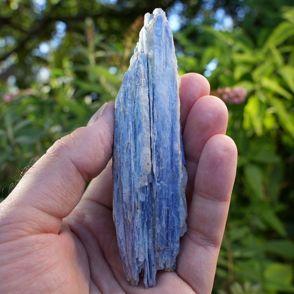 
                  
                    Raw Kyanite in Quartz | High Grade | Reiki Infused
                  
                