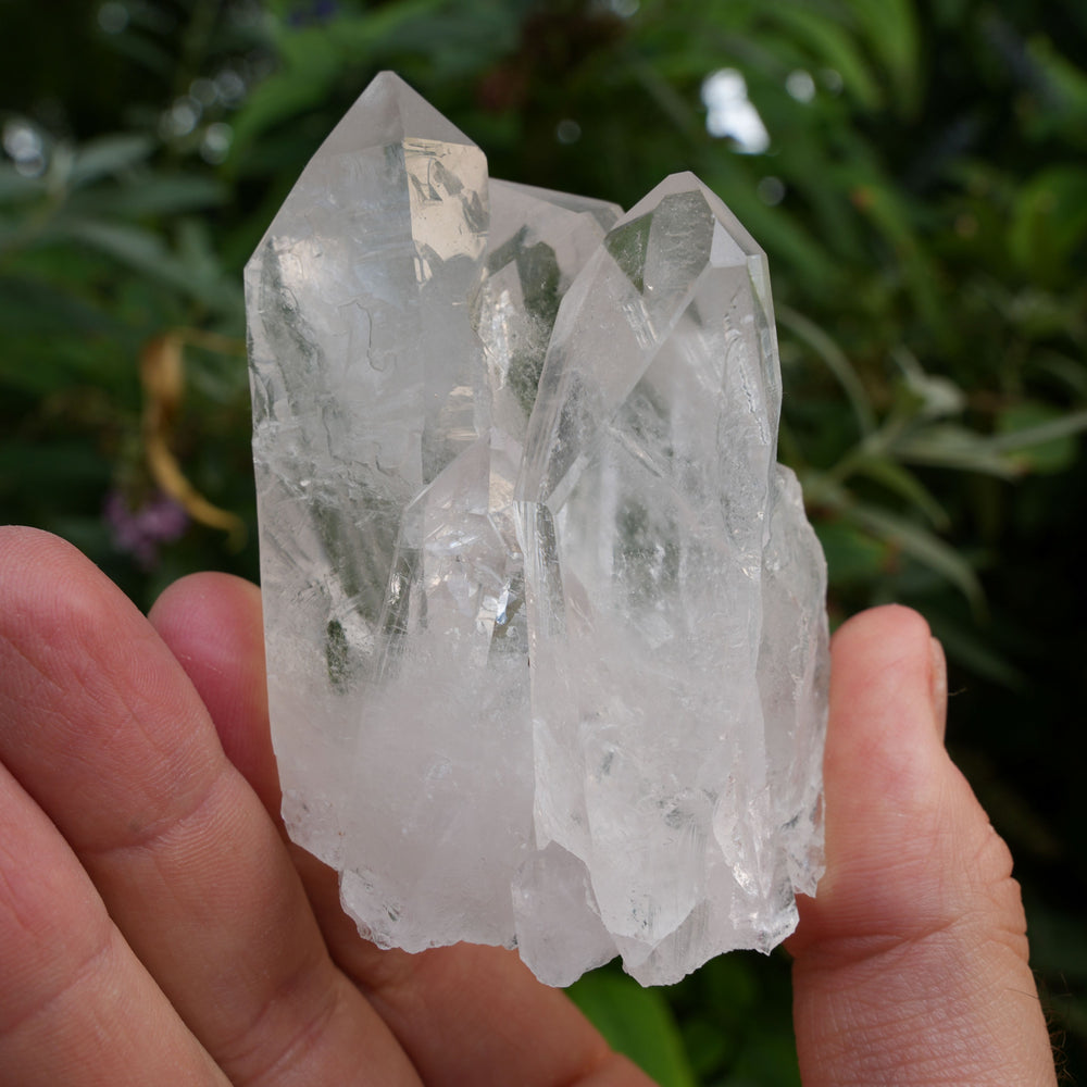 
                  
                    High Grade | Clear Quartz Clusters | Reiki Infused
                  
                