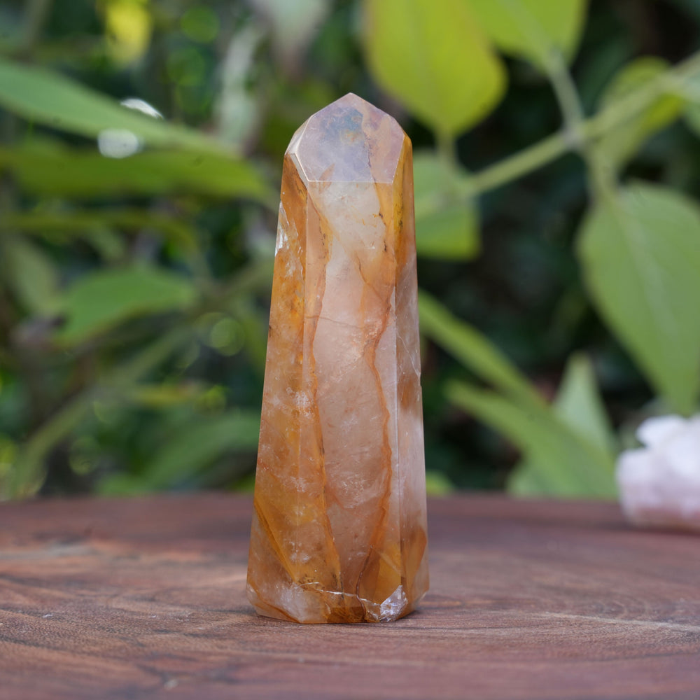 
                  
                    High Grade Golden Healer Points | Reiki Infused
                  
                