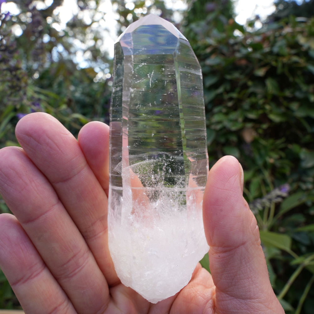 
                  
                    AA+ Grade Star Seed Lemurian Wands | Reiki Infused
                  
                