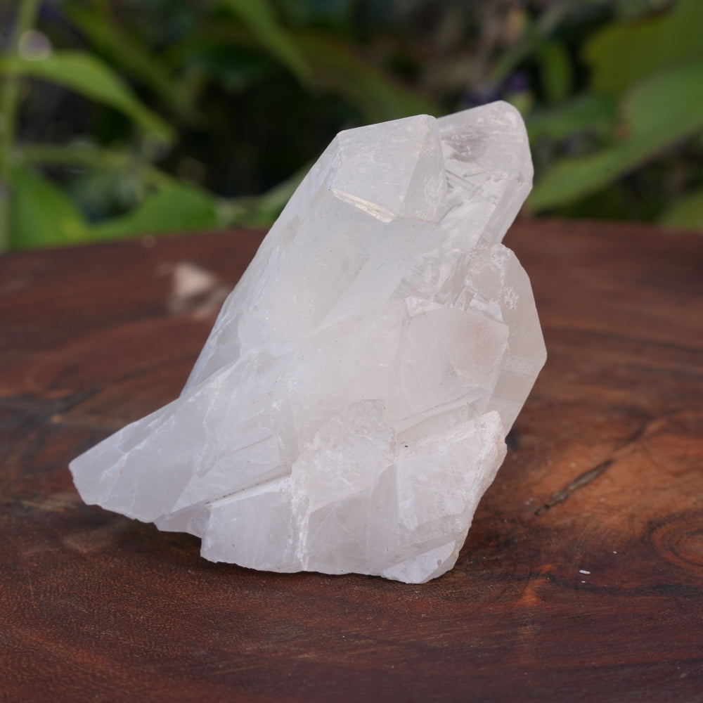 
                  
                    Quarts Clusters | Reiki Infused
                  
                