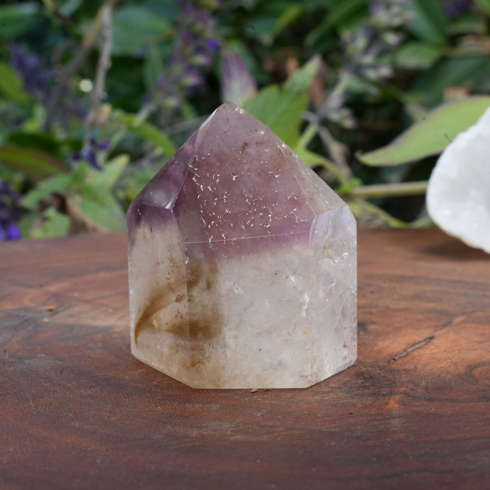 
                  
                    Medium Dream Coat Lemurian Freeforms | Reiki Infused
                  
                