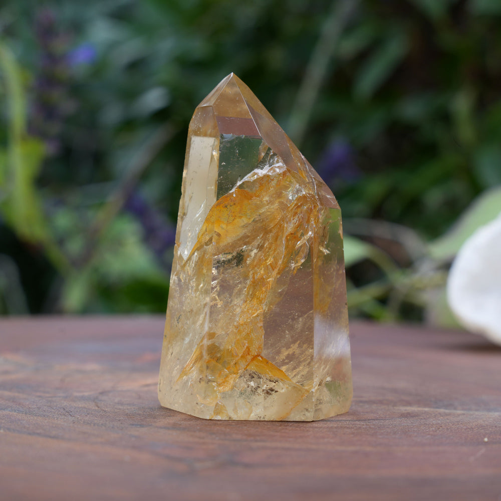 
                  
                    AA+ Grade Natural Citrine Towers | Reiki Infused
                  
                