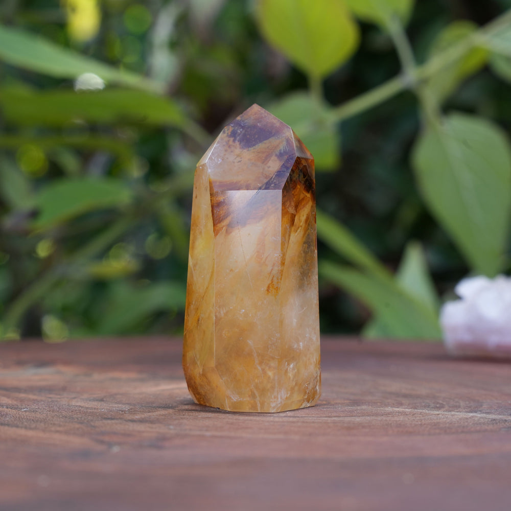 
                  
                    High Grade Golden Healer Points | Reiki Infused
                  
                