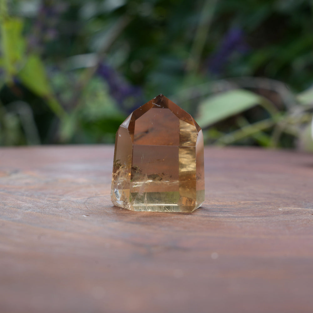 
                  
                    Mini AAA Grade Natural Citrine Towers | Reiki Infused
                  
                