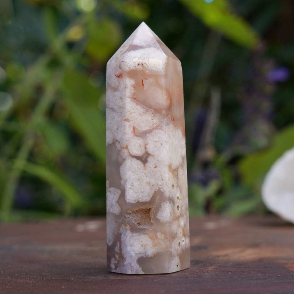 
                  
                    Flower Agate Points | Reiki Infused
                  
                