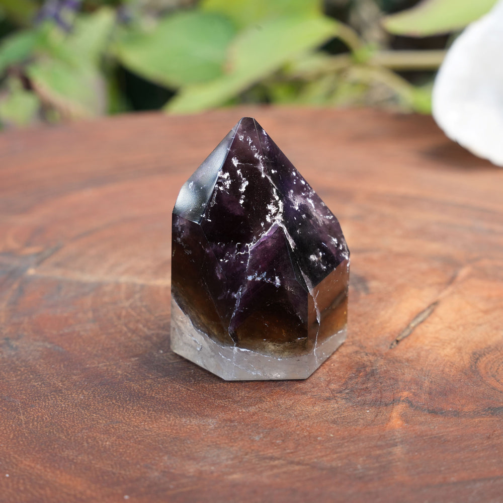 
                  
                    Small Deep Purple Amethyst Dream Coat Lemurian Freeforms | Reiki Infused
                  
                