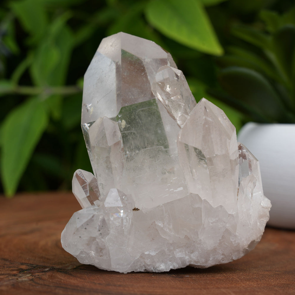 
                  
                    High Grade | Clear Quartz Clusters | Reiki Infused
                  
                