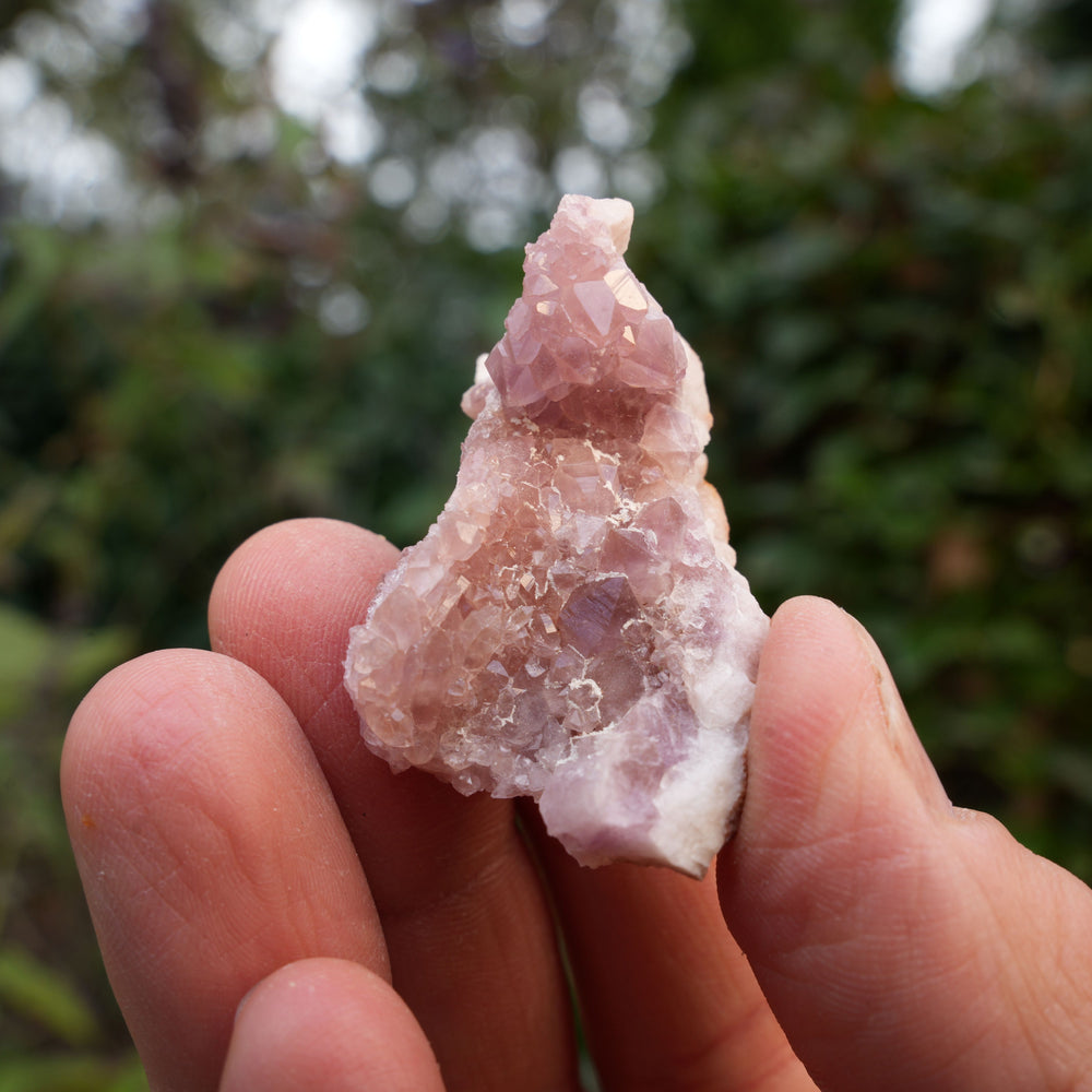 
                  
                    Small Pink Amethyst Clusters | Reiki Infused
                  
                