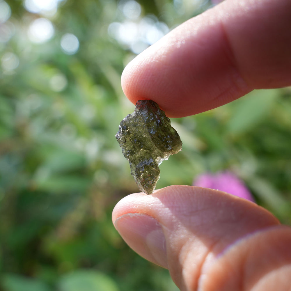 
                  
                    Raw Authentic Moldavite | AAA Grade | Reiki Infused
                  
                