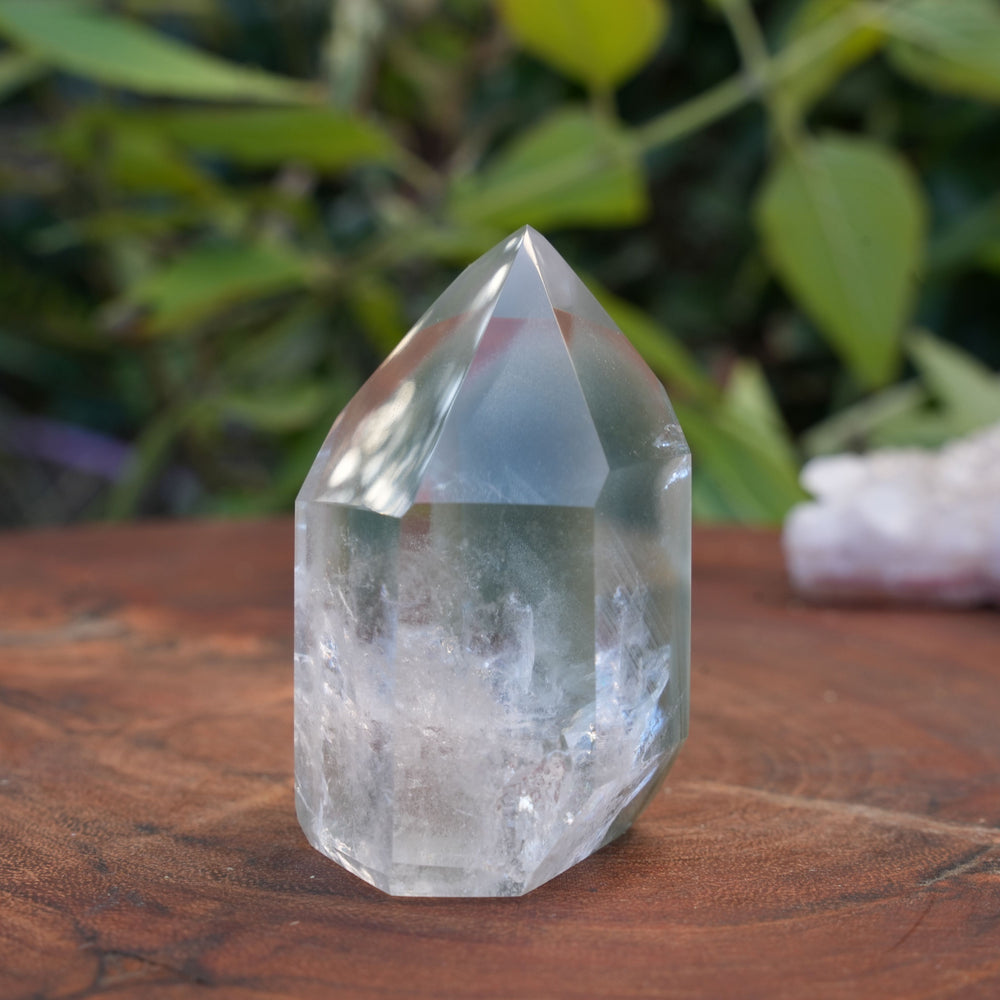 
                  
                    Medium Green Garden Quartz Points | High Grade | Reiki Infused
                  
                