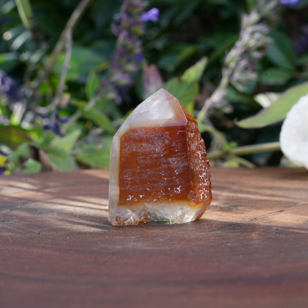 
                  
                    Small Dream Coat Lemurian Freeforms | Reiki Infused
                  
                