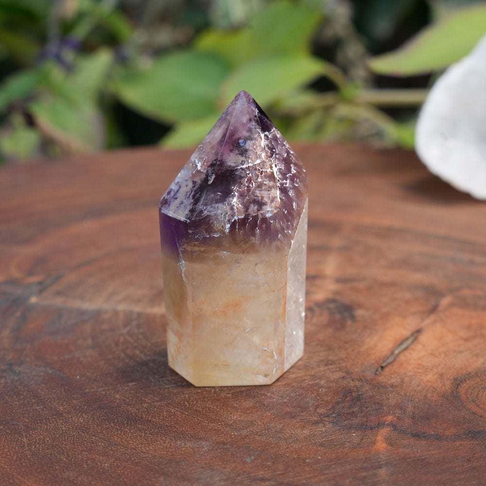
                  
                    Small Deep Purple Amethyst Dream Coat Lemurian Freeforms | Reiki Infused
                  
                
