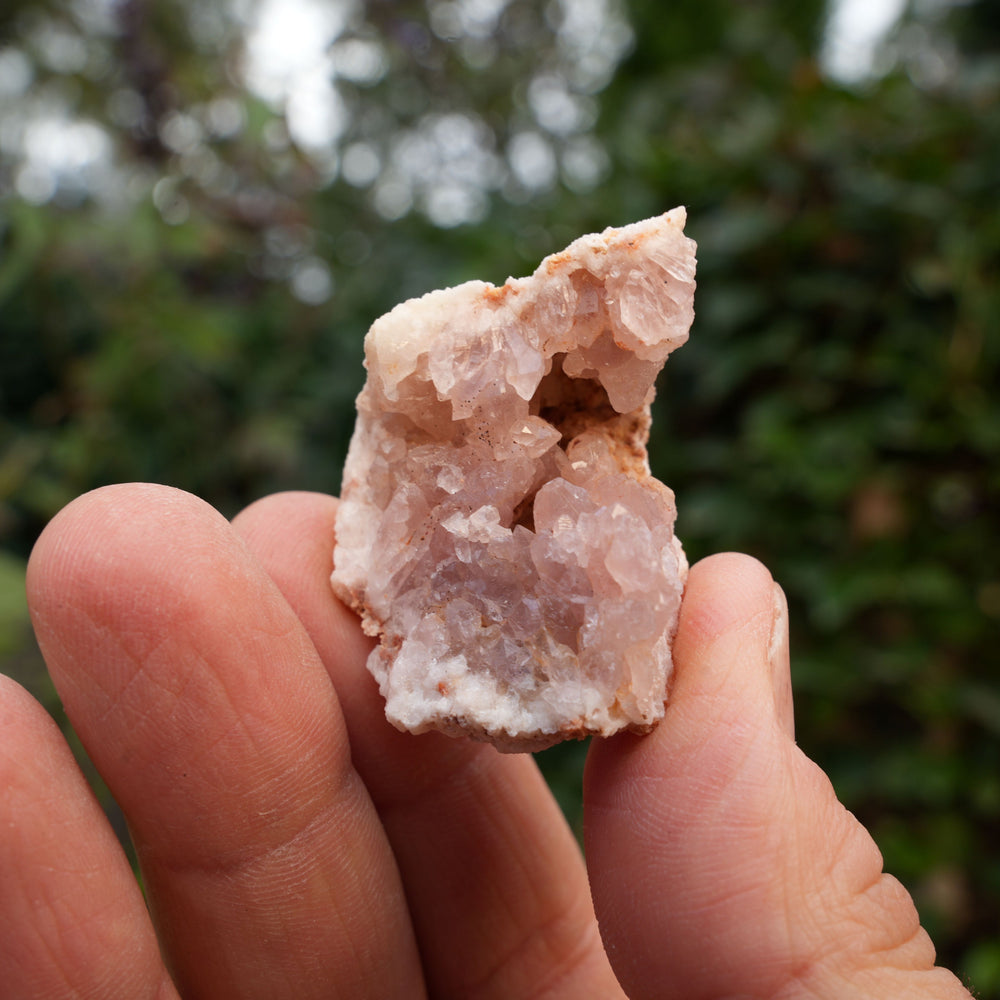 
                  
                    Small Pink Amethyst Clusters | Reiki Infused
                  
                