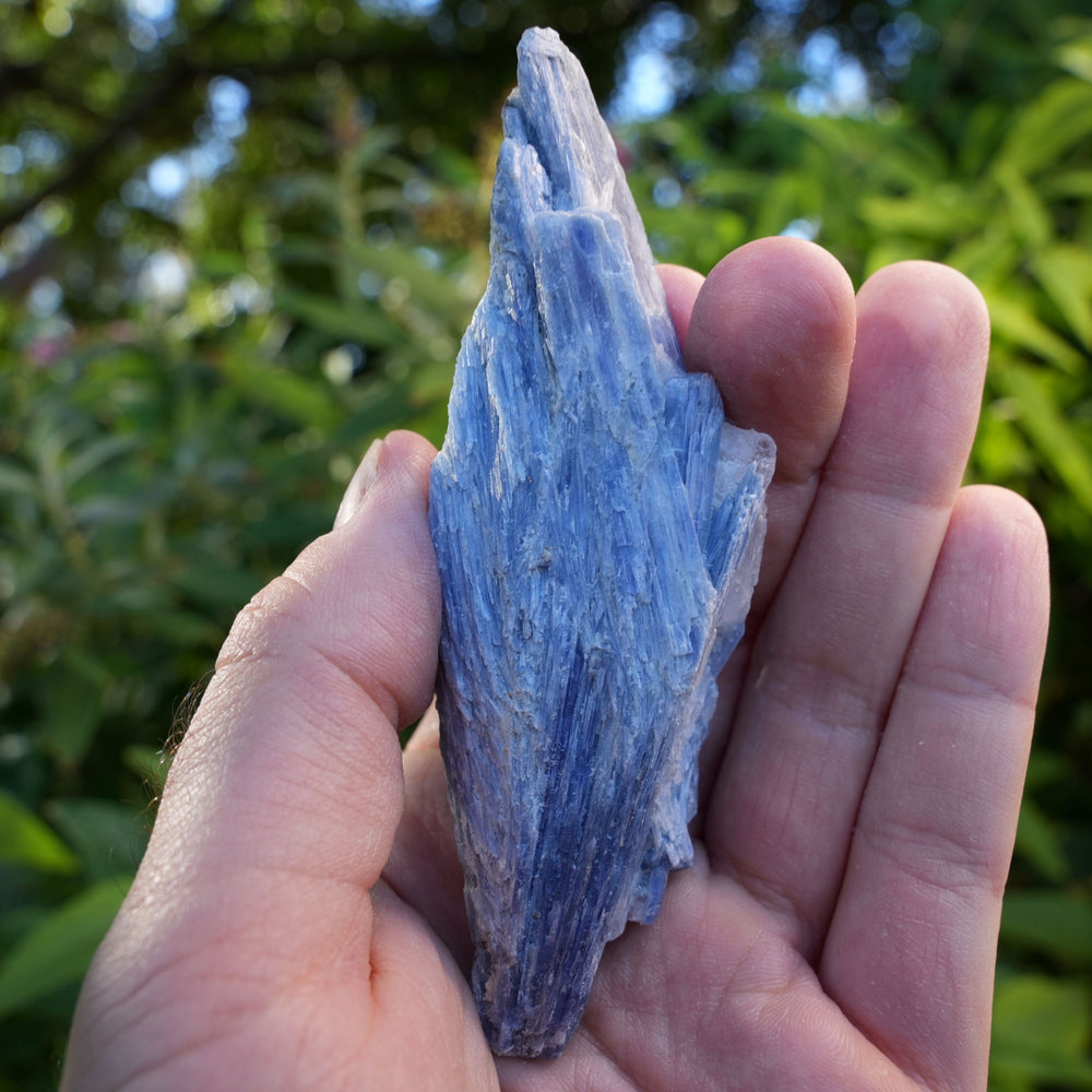 
                  
                    Raw Kyanite in Quartz | High Grade | Reiki Infused
                  
                