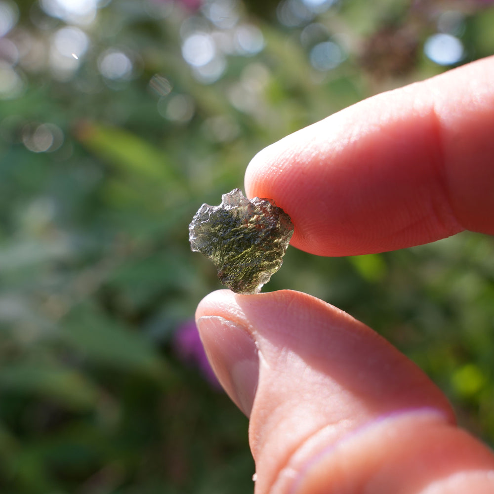 
                  
                    Raw Authentic Moldavite | AAA Grade | Reiki Infused
                  
                