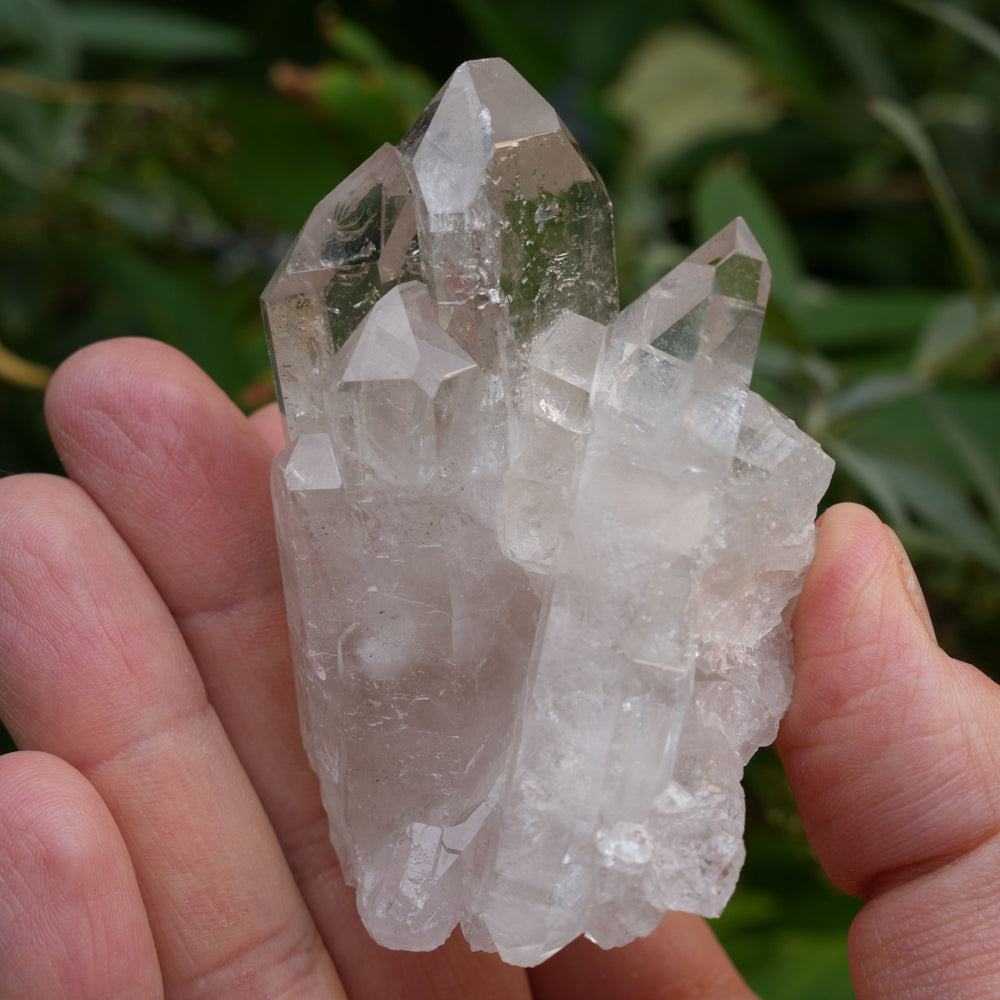 
                  
                    High Grade | Clear Quartz Clusters | Reiki Infused
                  
                