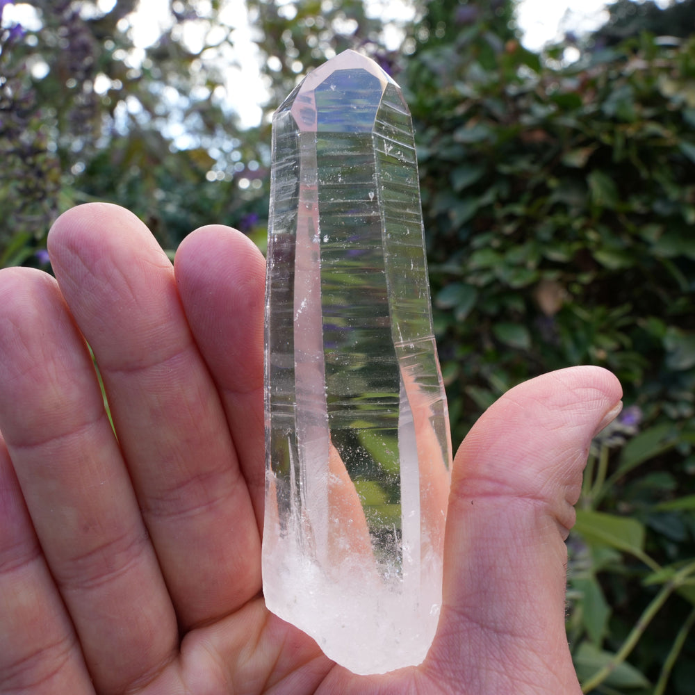 
                  
                    AA+ Grade Star Seed Lemurian Wands | Reiki Infused
                  
                