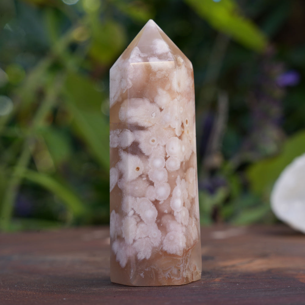 
                  
                    Flower Agate Points | Reiki Infused
                  
                