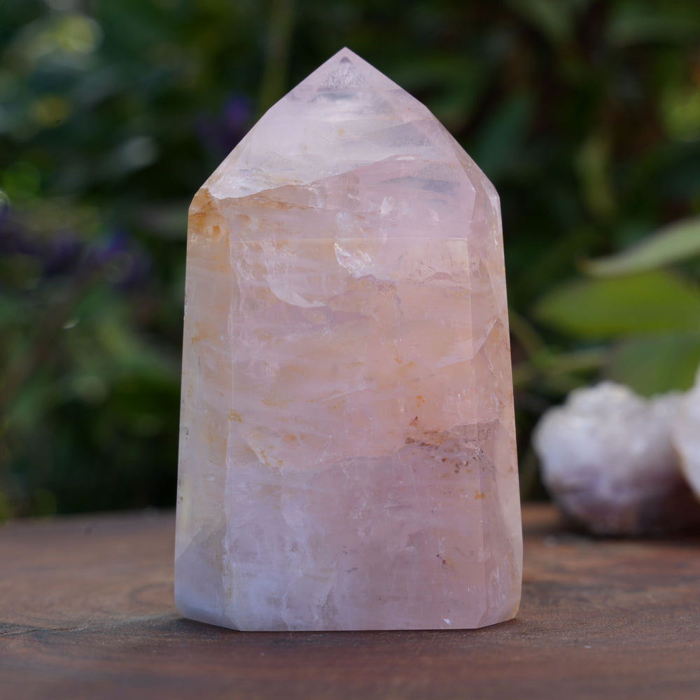 
                  
                    High Grade Rose Quartz Girasol Towers | Reiki Infused
                  
                