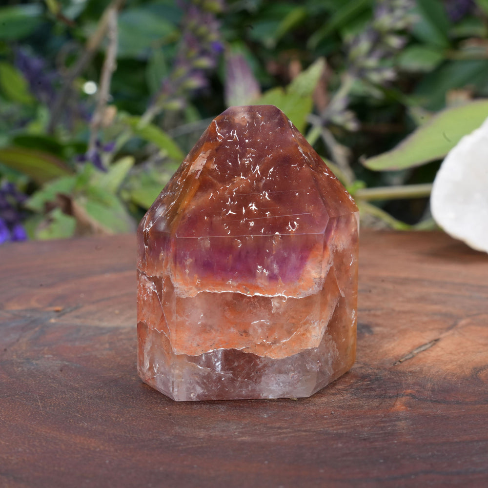 
                  
                    Medium Dream Coat Lemurian Freeforms | Reiki Infused
                  
                