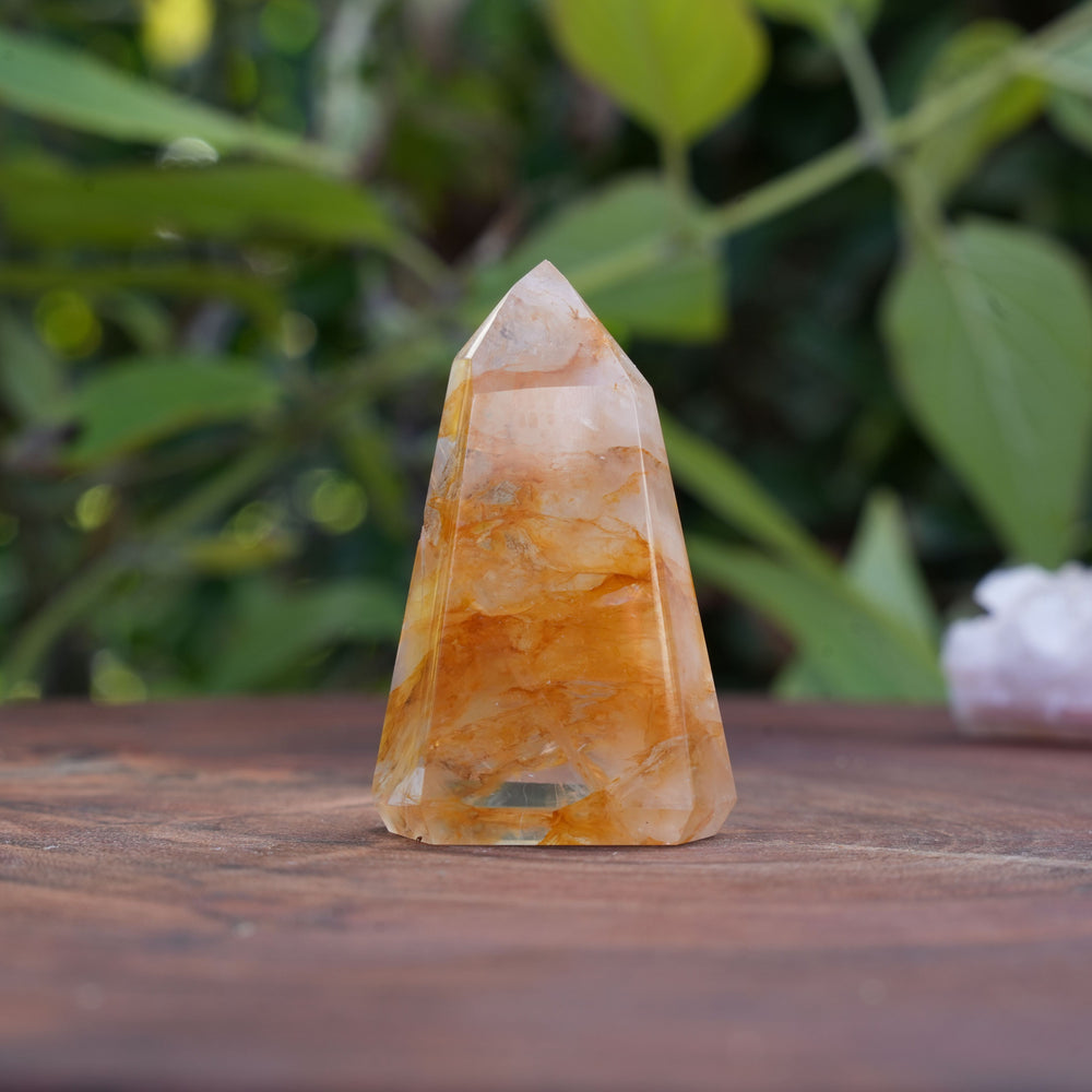 
                  
                    High Grade Golden Healer Points | Reiki Infused
                  
                