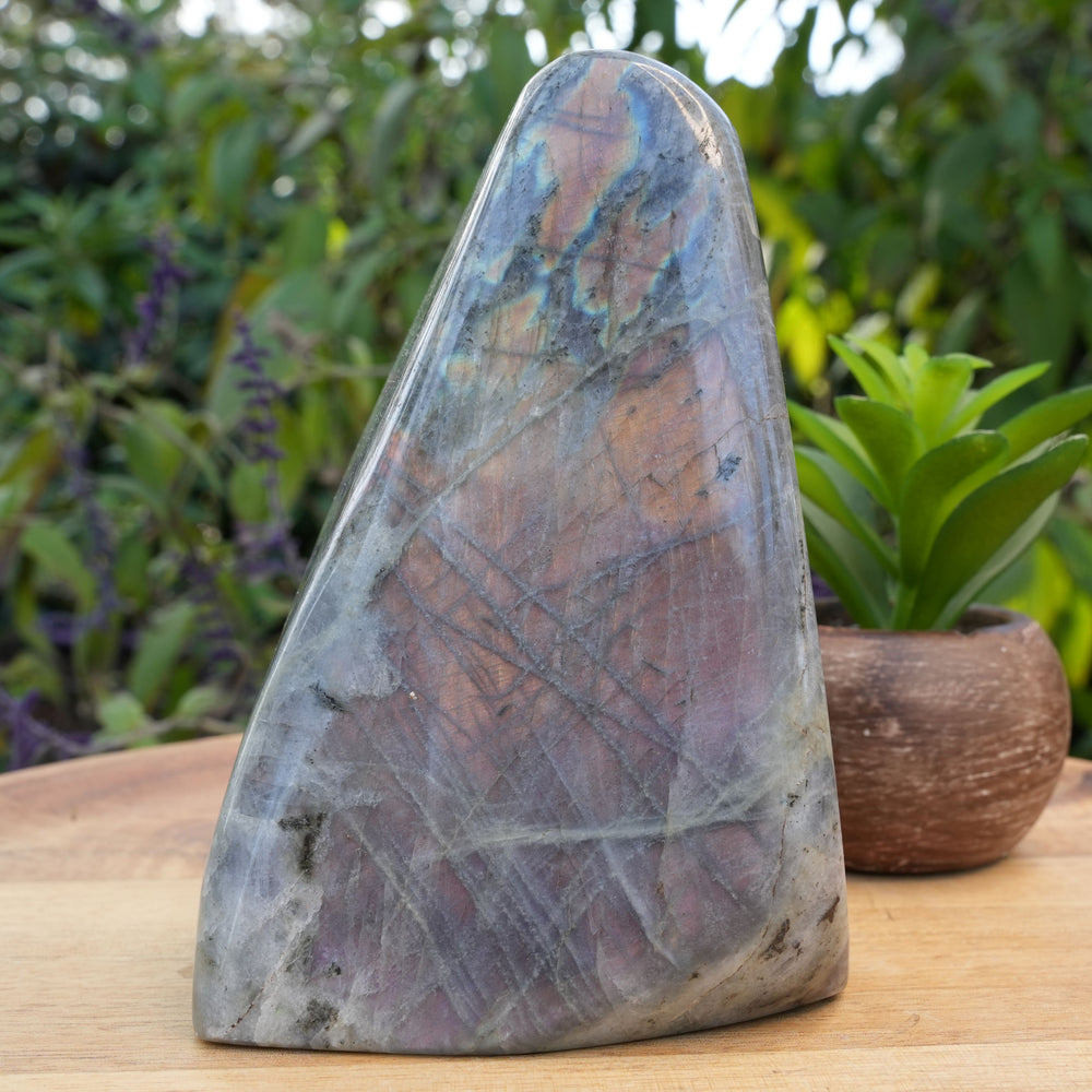 Purple Labradorite Free Forms | AAA Grade | Reiki Infused