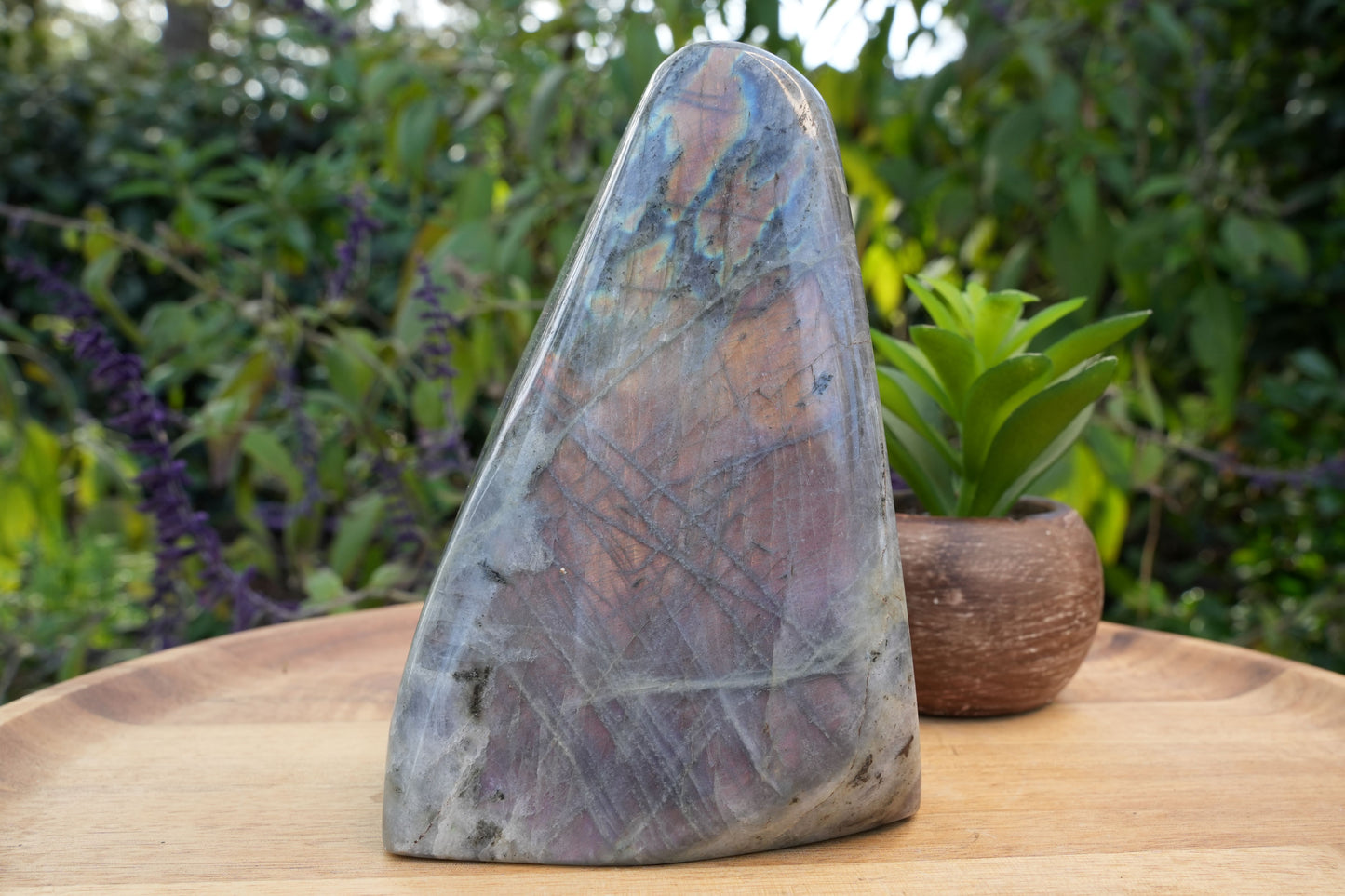 Purple Labradorite Free Forms | AAA Grade | Reiki Infused