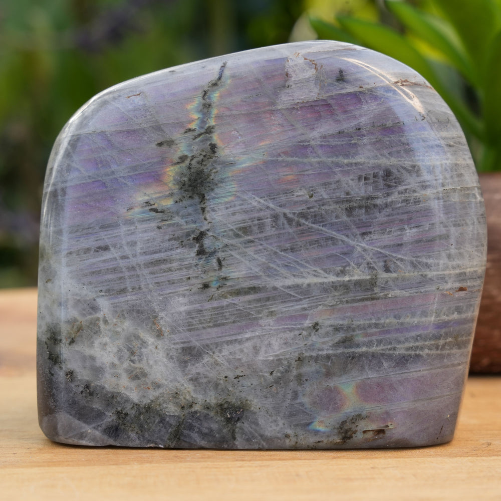 Purple Labradorite Free Forms | AAA Grade | Reiki Infused