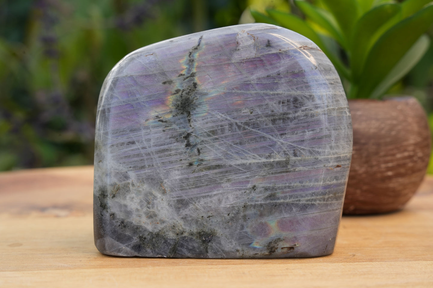 Purple Labradorite Free Forms | AAA Grade | Reiki Infused