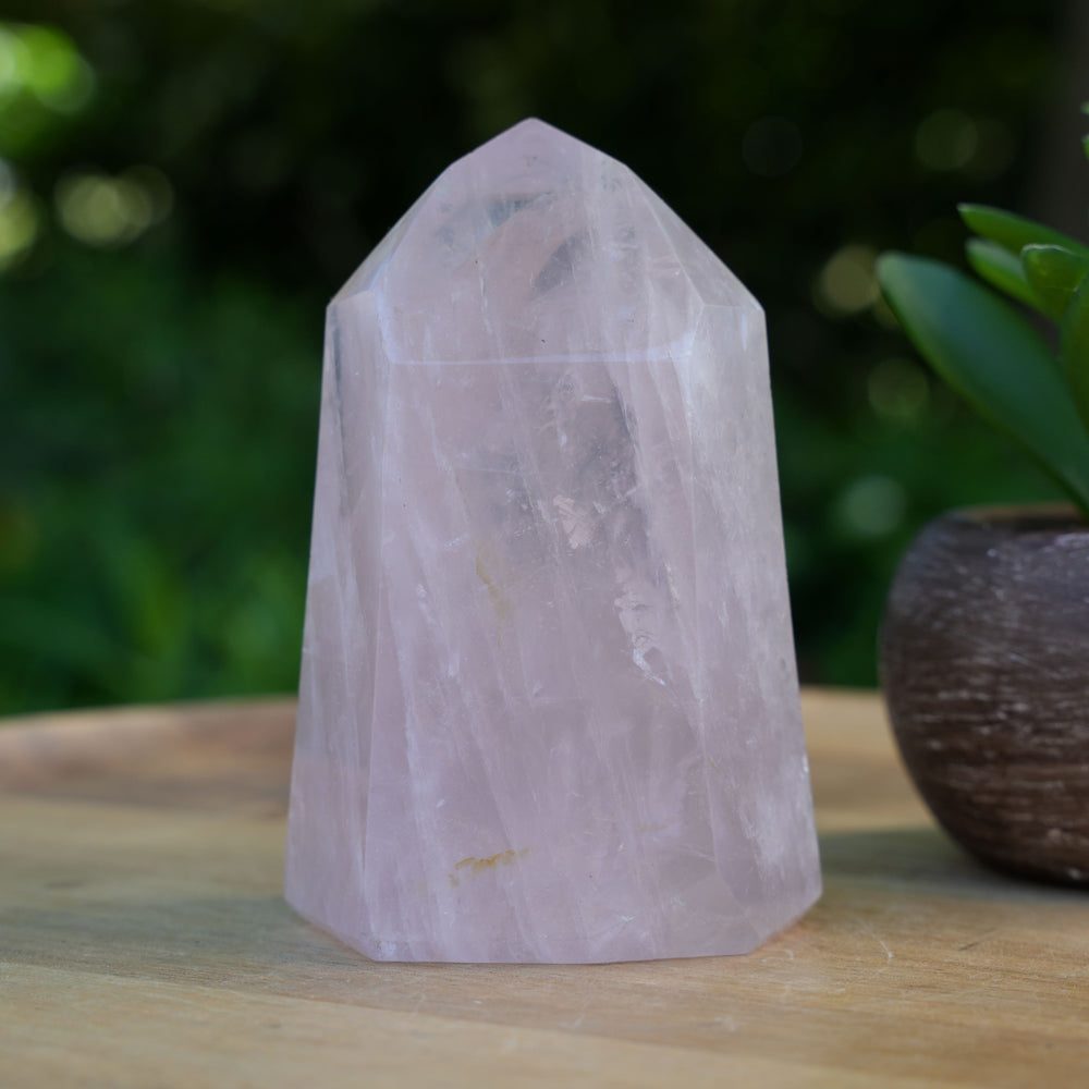 Rose Quartz Generators | AAA Grade | Reiki Infused