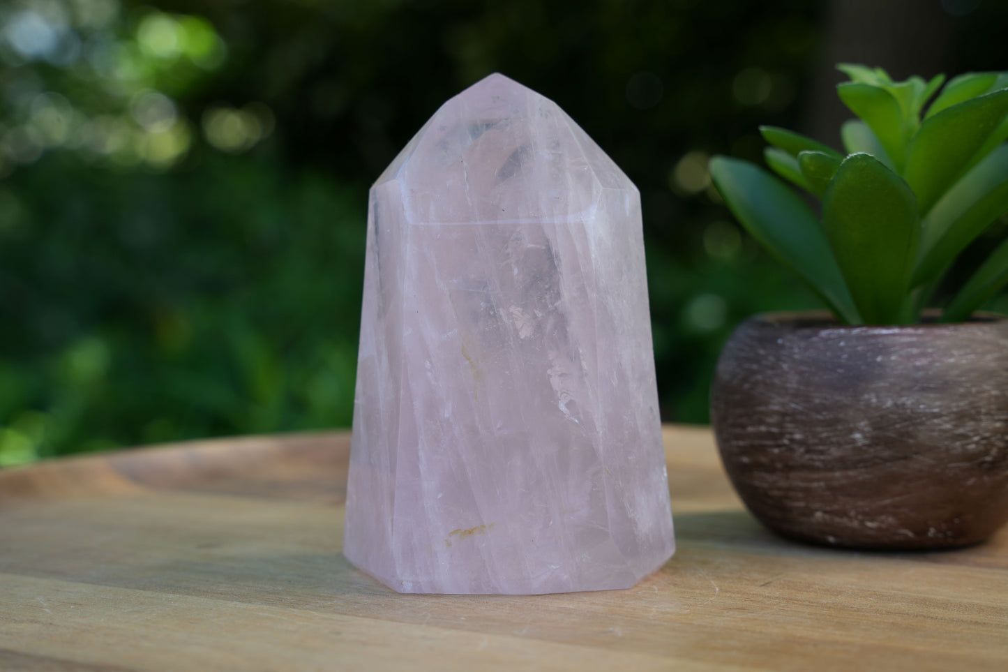 Rose Quartz Generators | AAA Grade | Reiki Infused