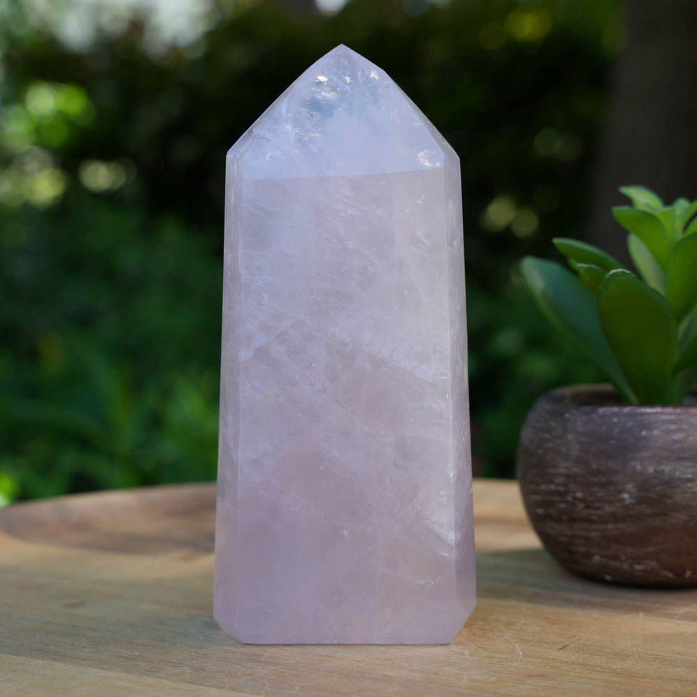 Rose Quartz Generators | AAA Grade | Reiki Infused