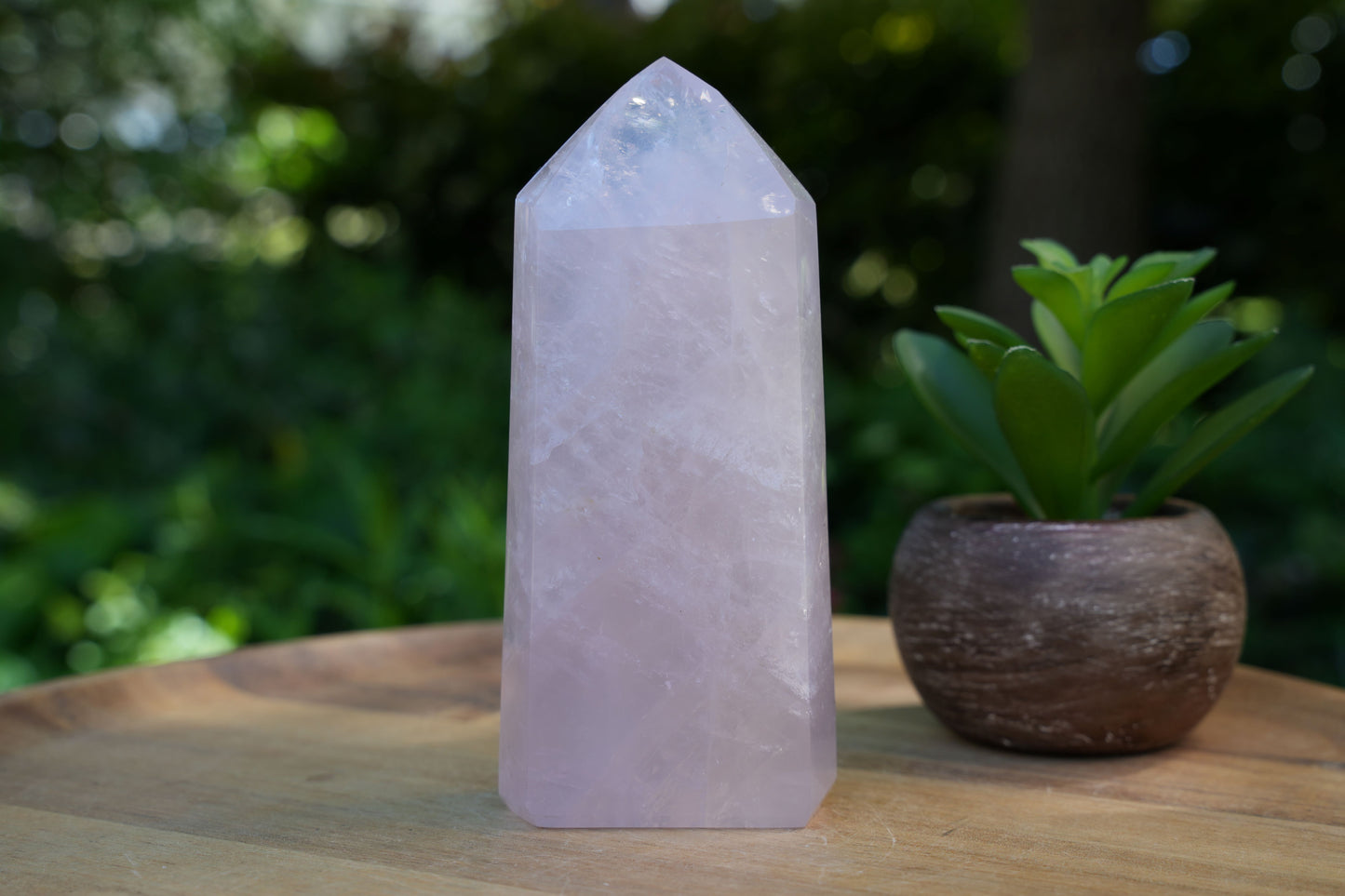 Rose Quartz Generators | AAA Grade | Reiki Infused