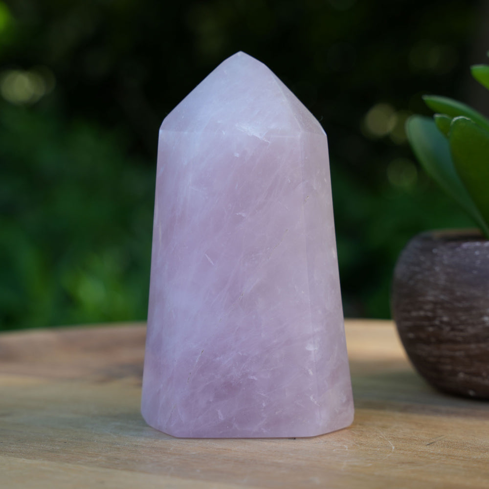 
                  
                    Rose Quartz Generators | AAA Grade | Reiki Infused
                  
                