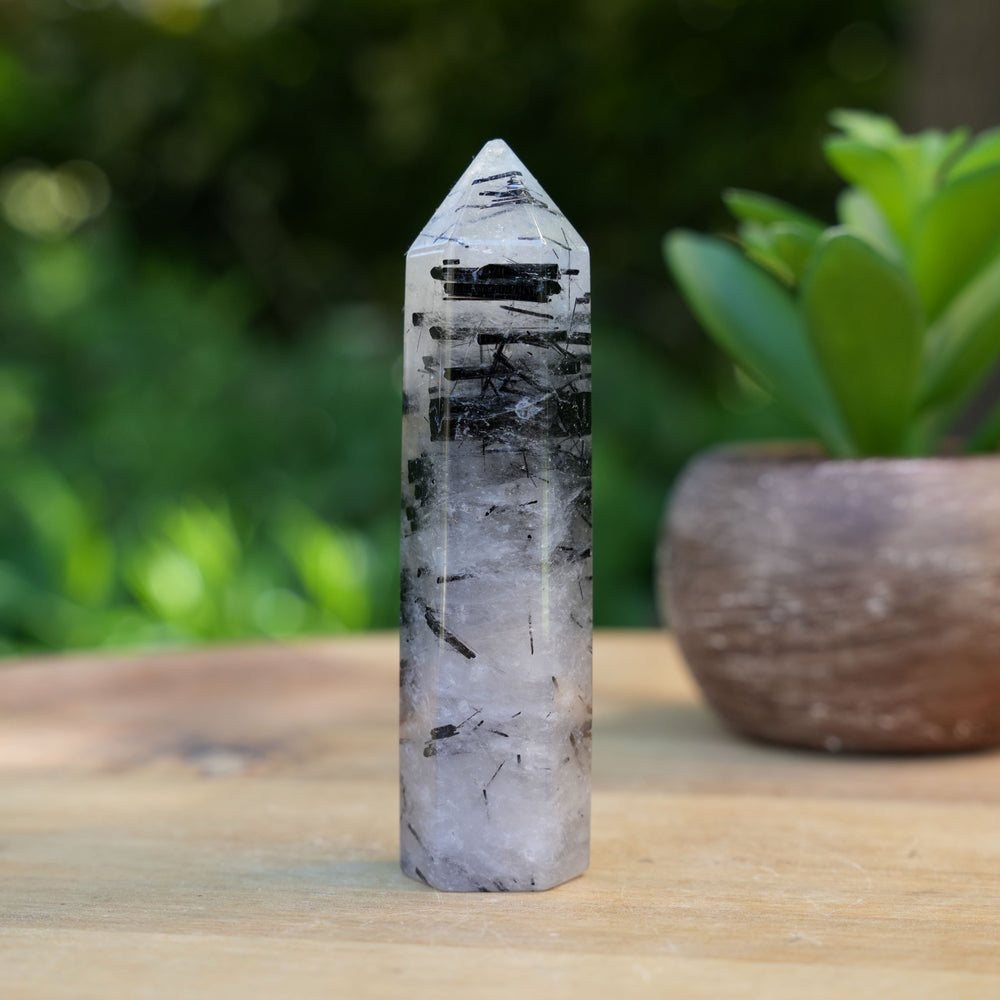 Black Tourmaline in Quartz Points | AAA Grade | Reiki Infused