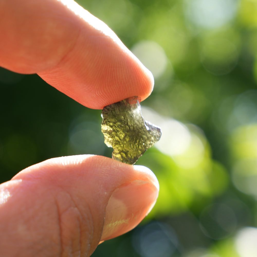 
                  
                    Raw Authentic Moldavite | AAA Grade | Reiki Infused
                  
                