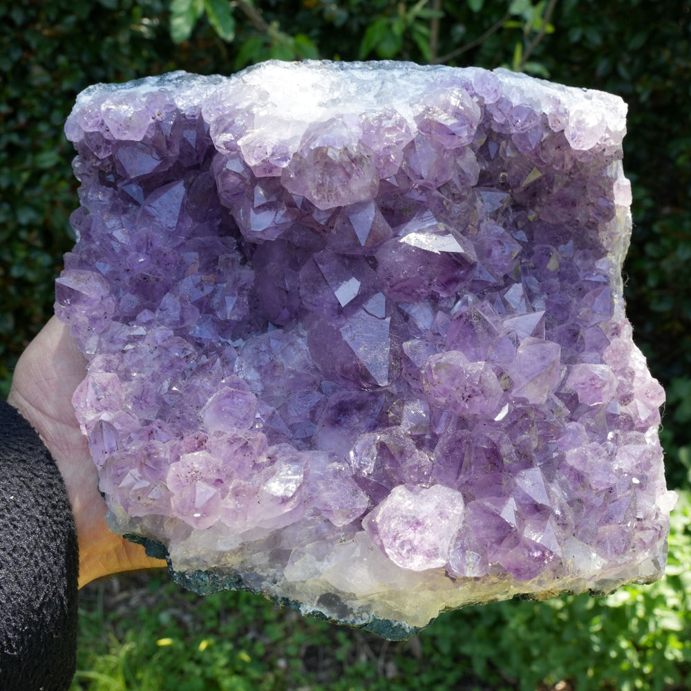 Rare High Quality Amethyst Clusters | Reiki infused