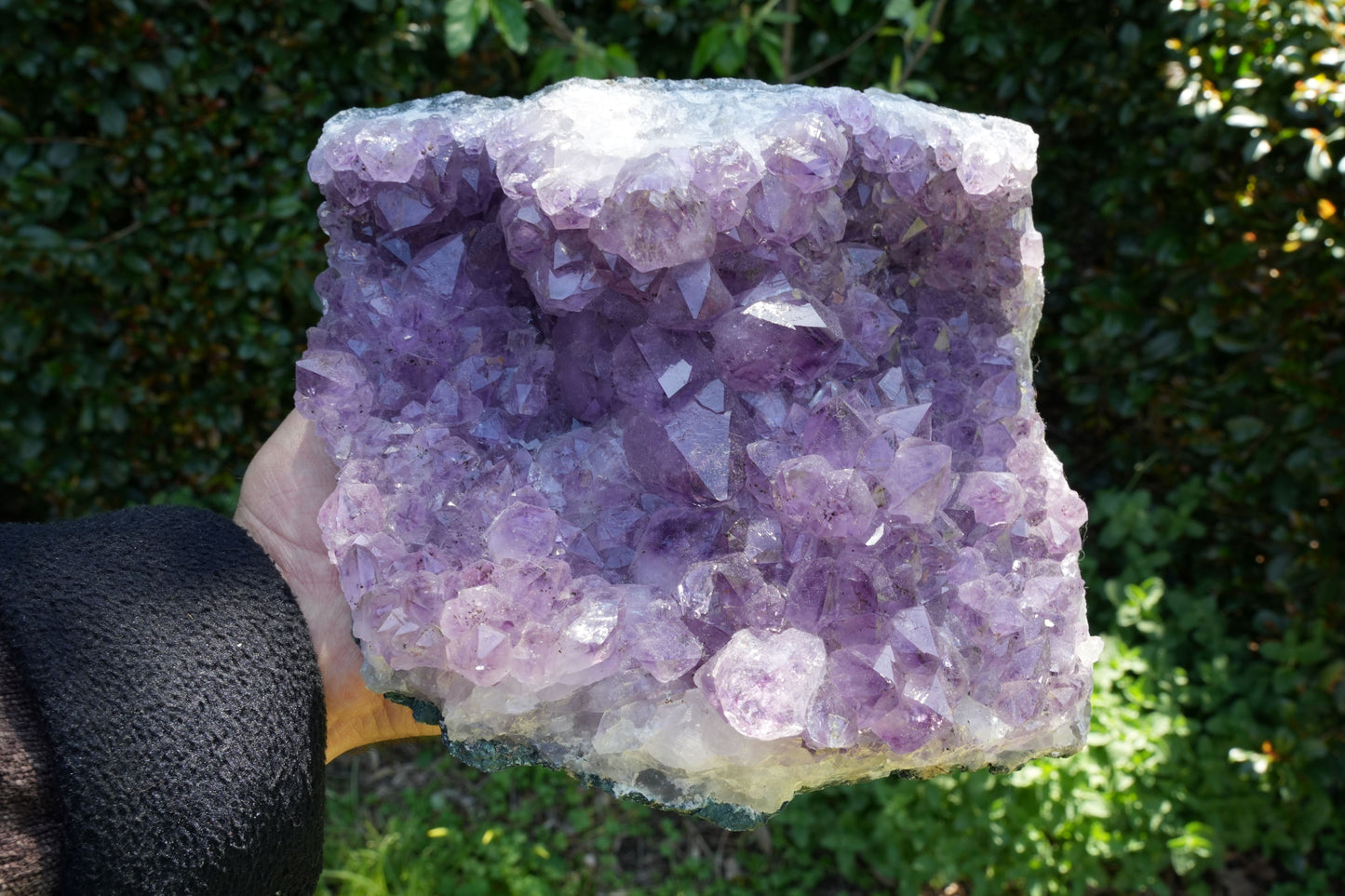 Rare High Quality Amethyst Clusters | Reiki infused