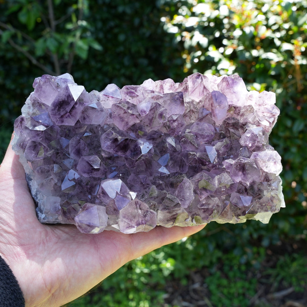 Rare High Quality Amethyst Clusters | Reiki infused