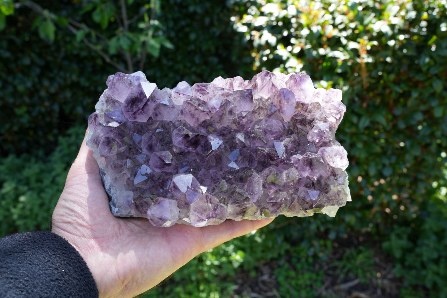 Rare High Quality Amethyst Clusters | Reiki infused