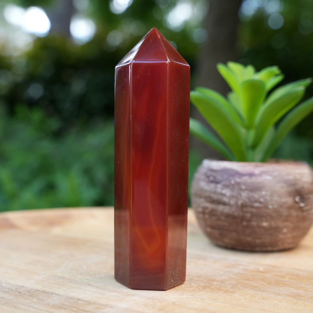 Carnelian Crystal Points | AAA Grade | Reiki Infused