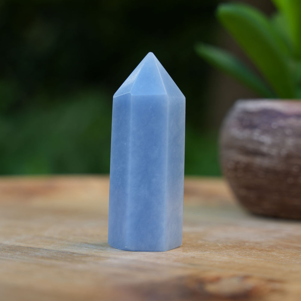 Angelite Points | A Grade | Reiki Infused