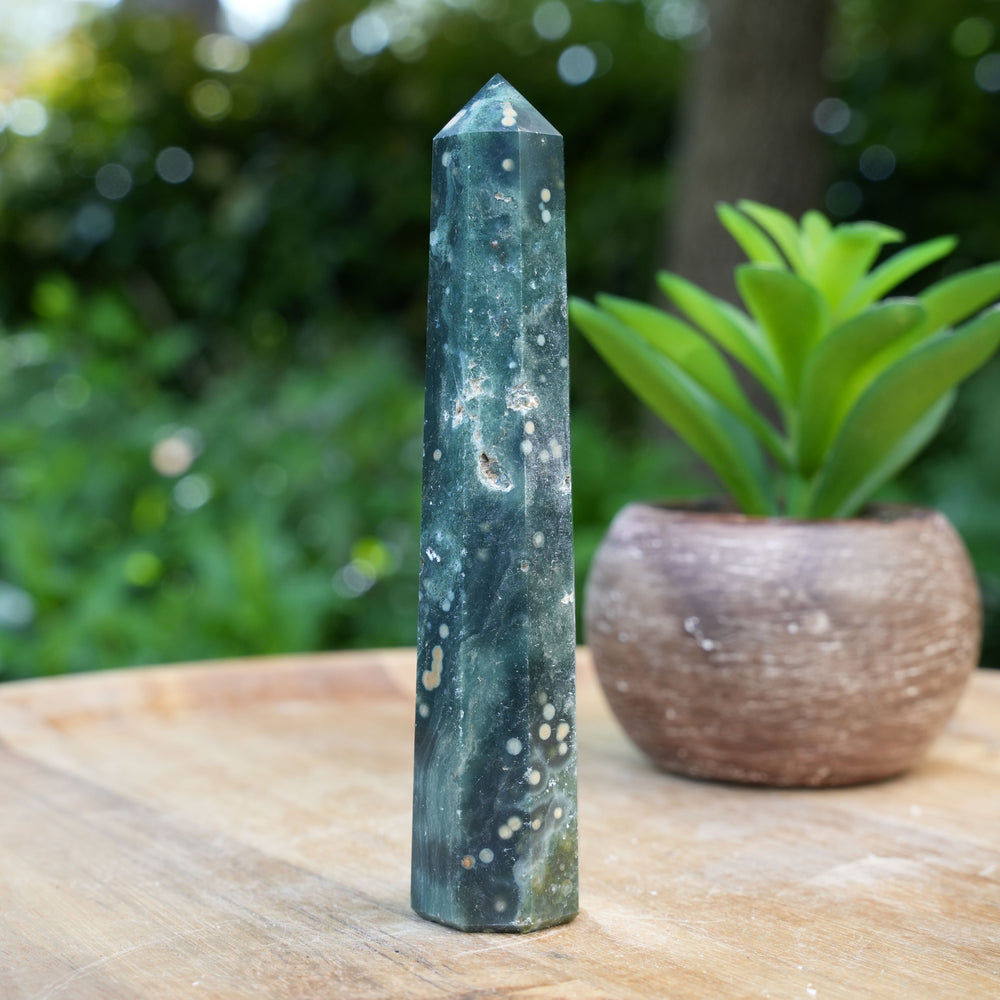 Ocean Jasper Points | Reiki Infused