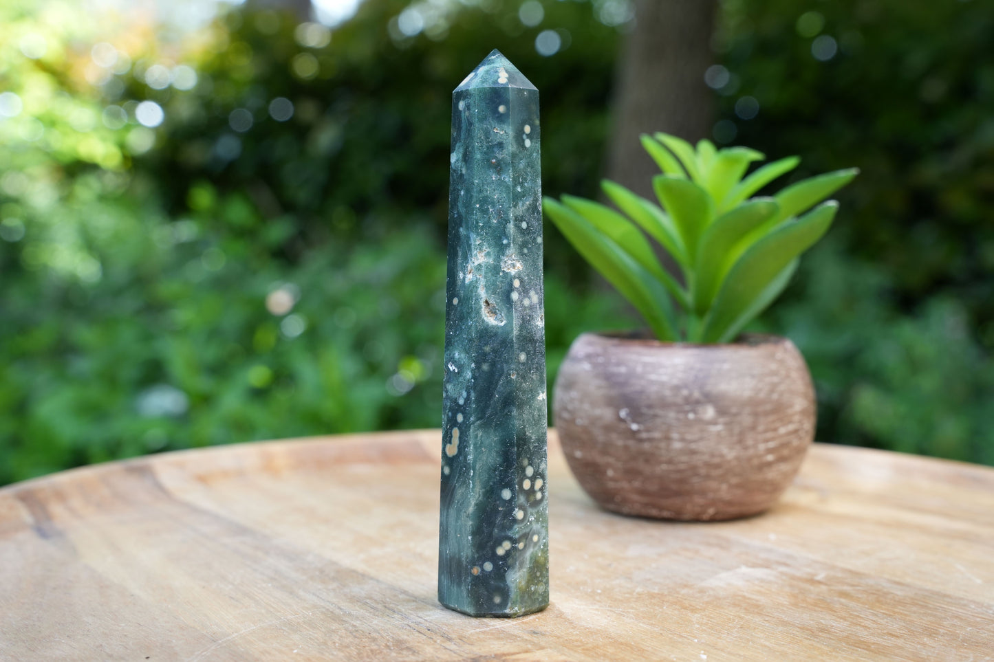 Ocean Jasper Points | Reiki Infused