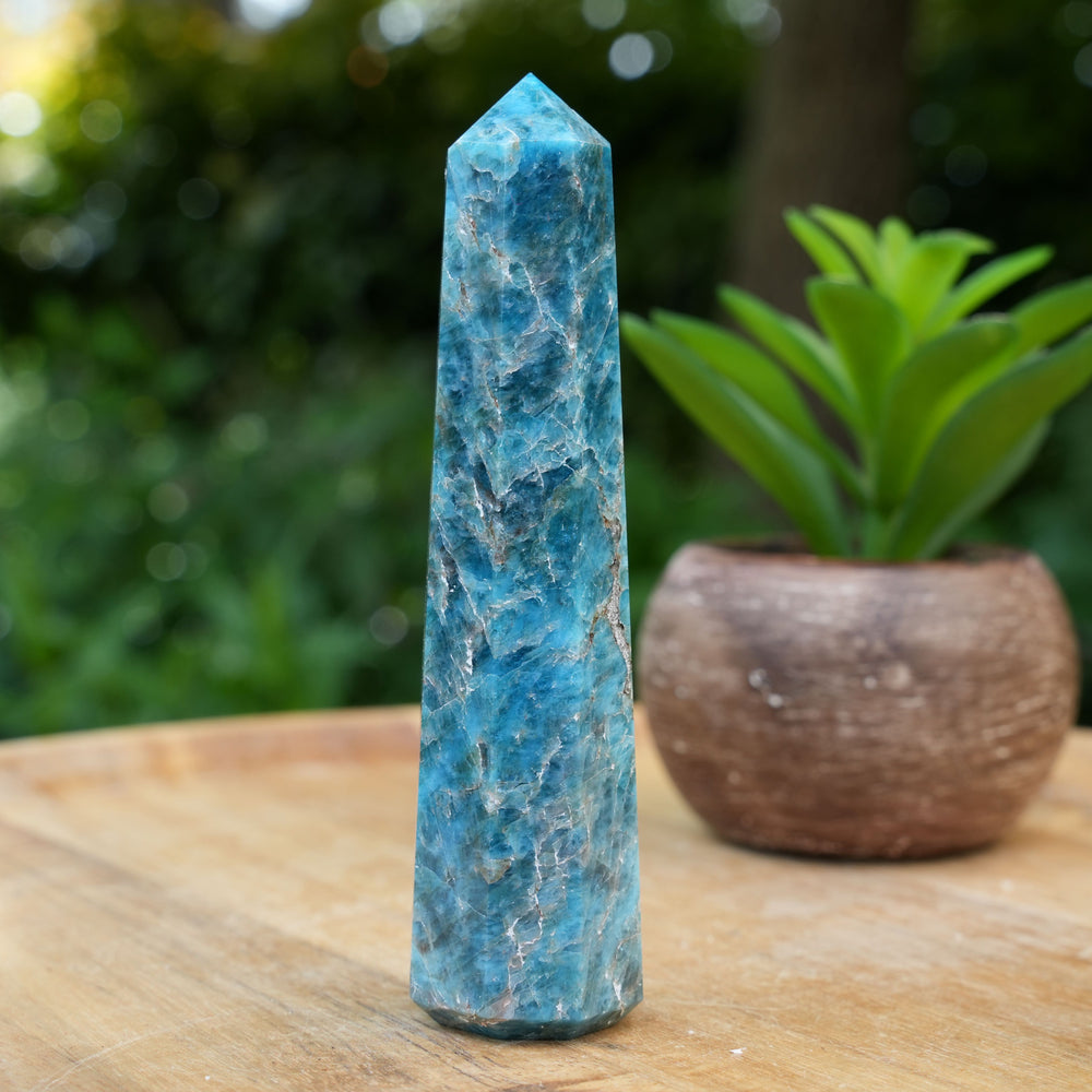 Apatite Points | Reiki Infused