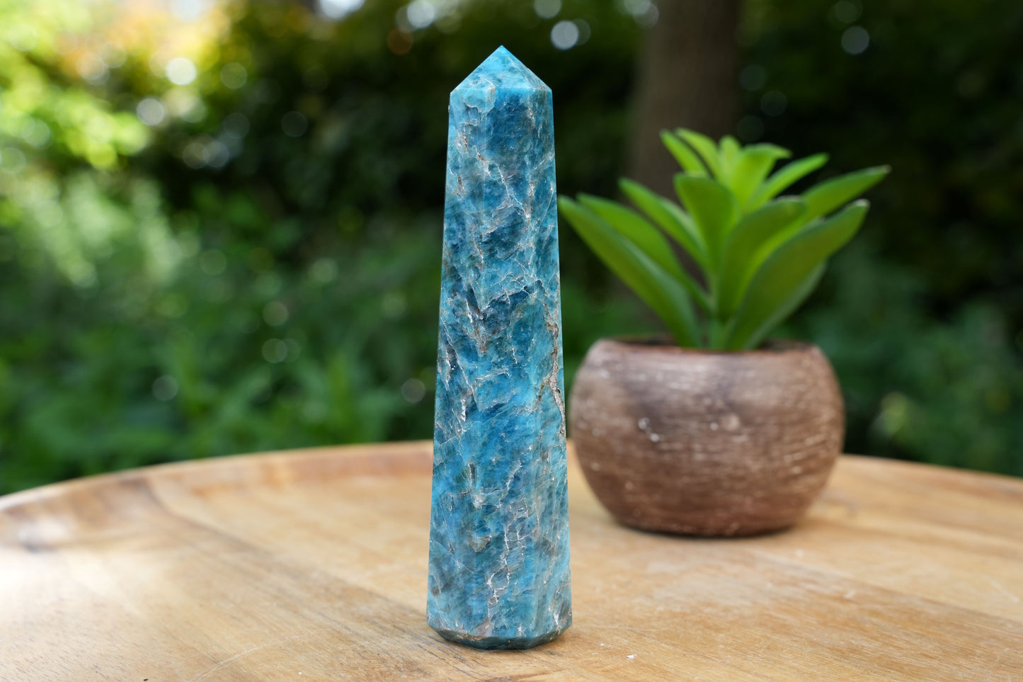 Apatite Points | Reiki Infused