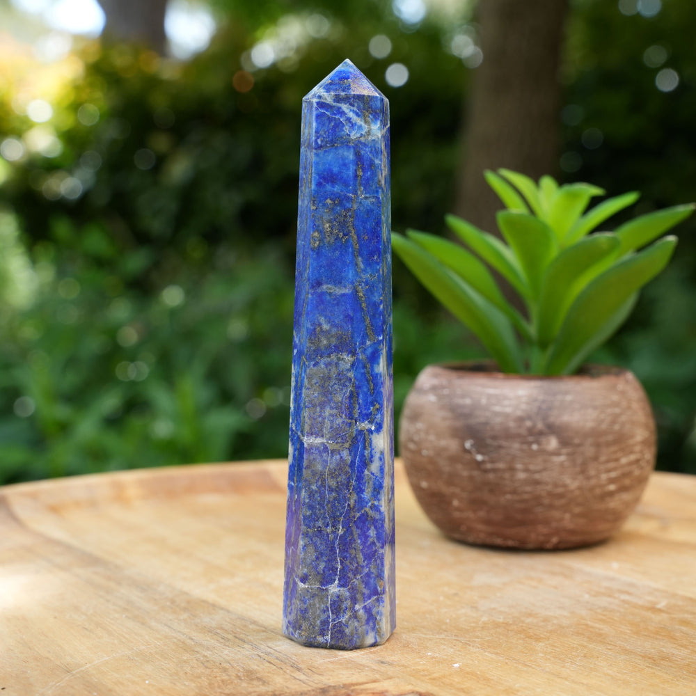 Lapis Lazuli Points | Reiki Infused